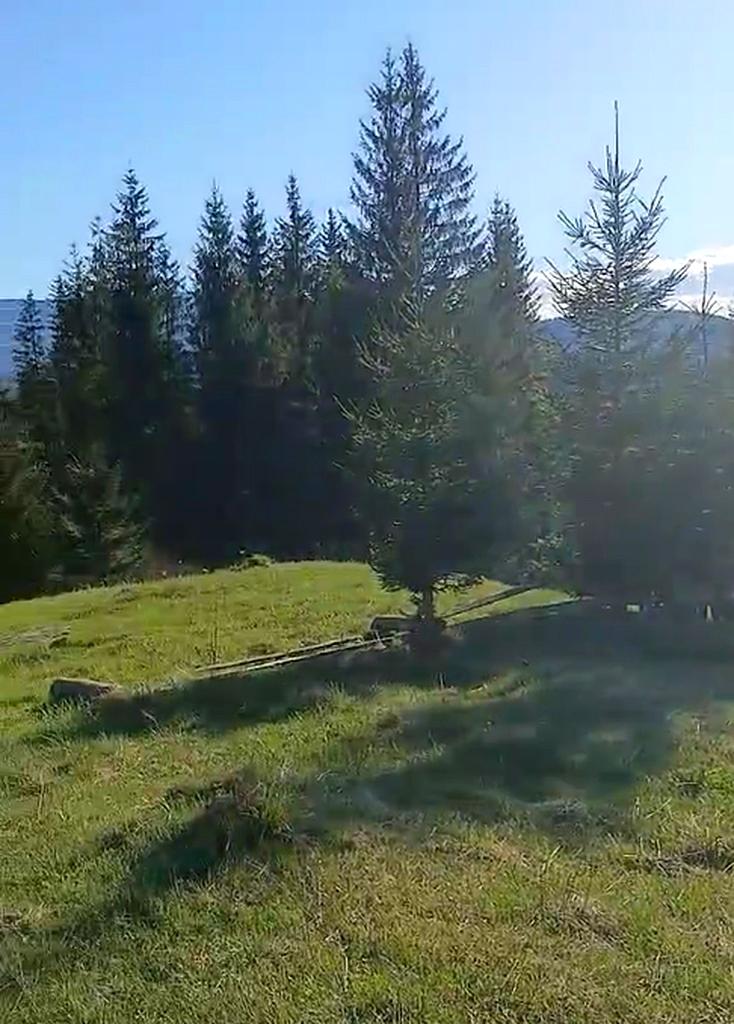 1855856323346557