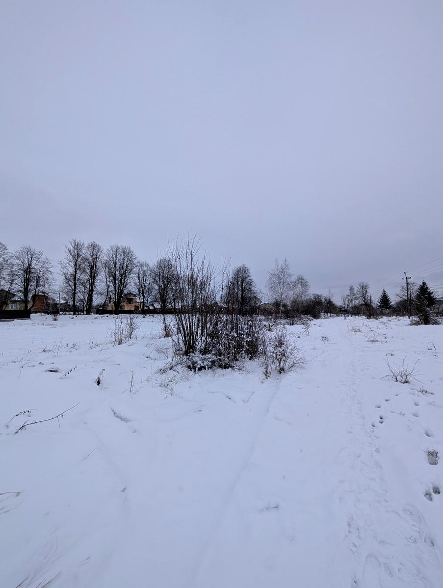1856006267634706