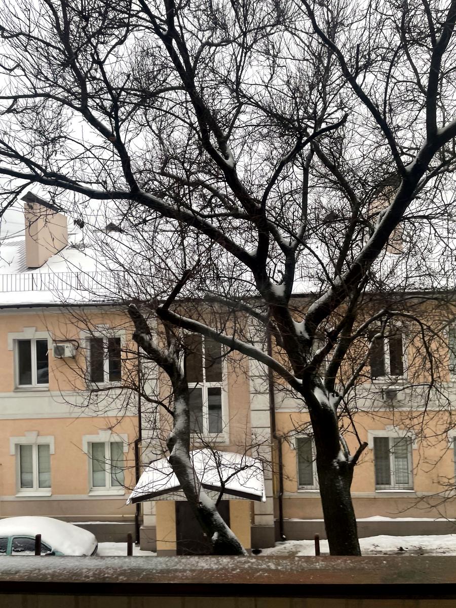 1-комнатная квартира по адресу пер. Ремесленный (площадь 37,6 м²) - Atlanta.ua - фото 21