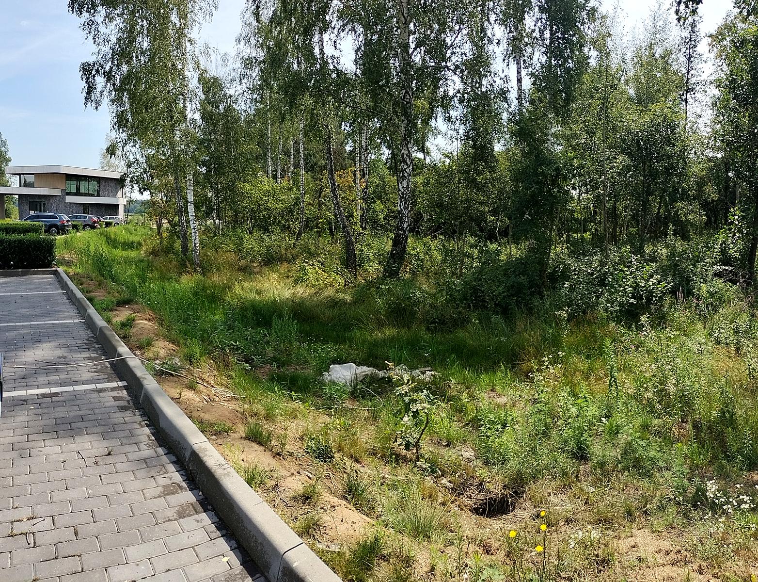 1856092455278225