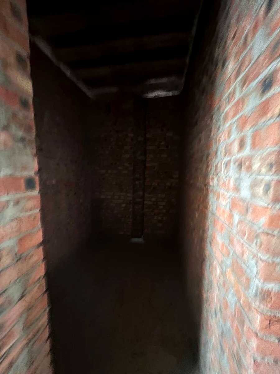 1856201266587614