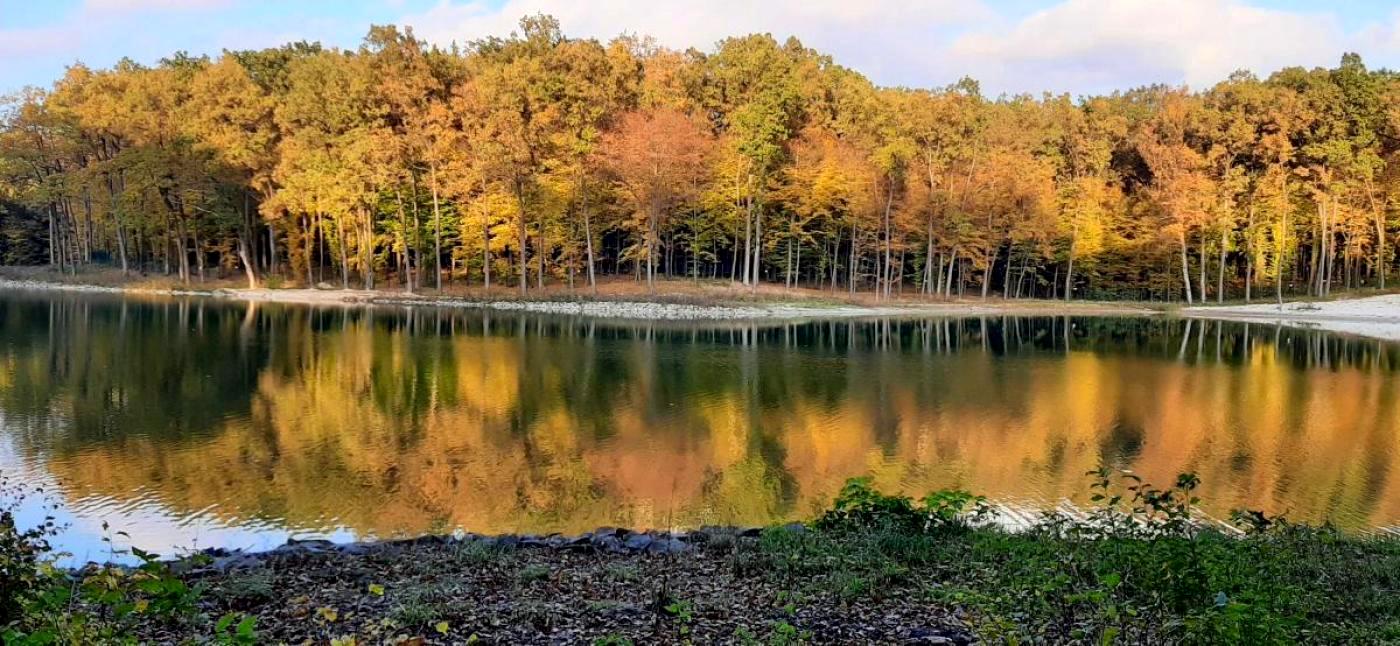 Дом по адресу ул. Зеленая боковая (площадь 390 м²) - Atlanta.ua - фото 10