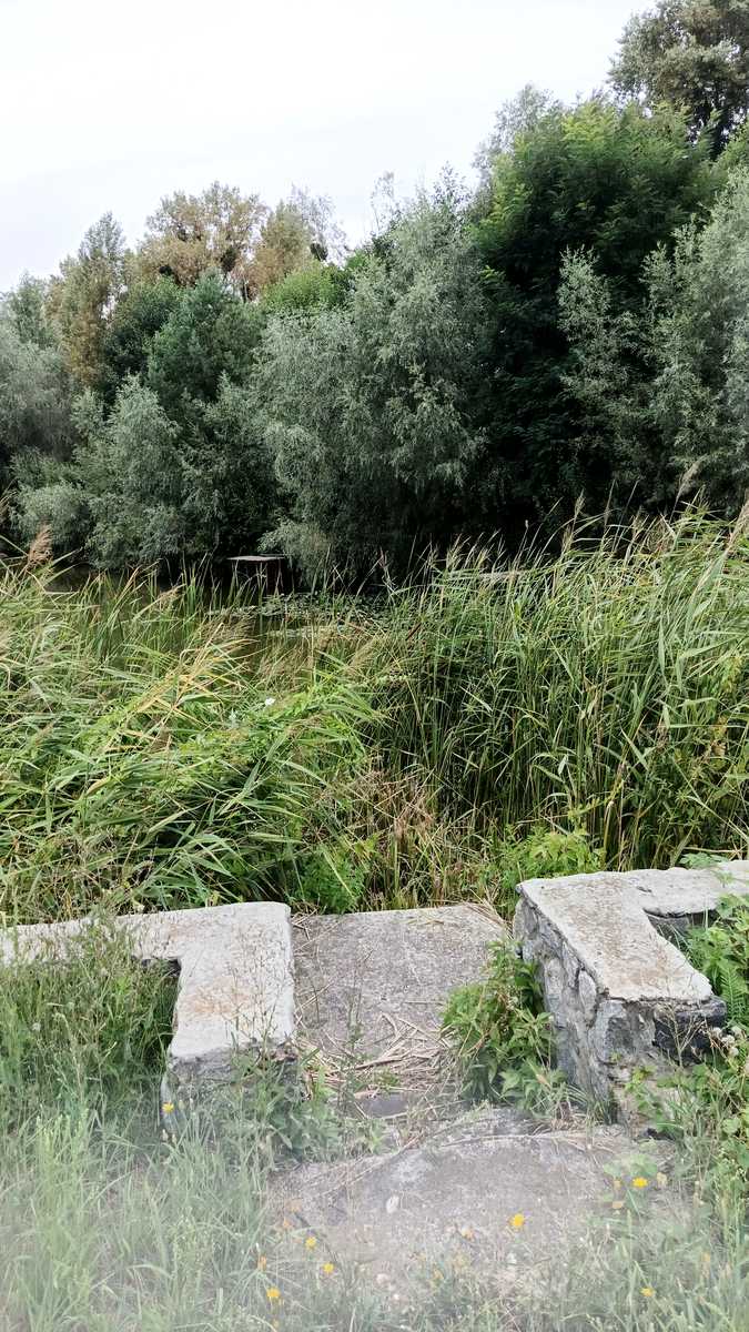 1856659027117105