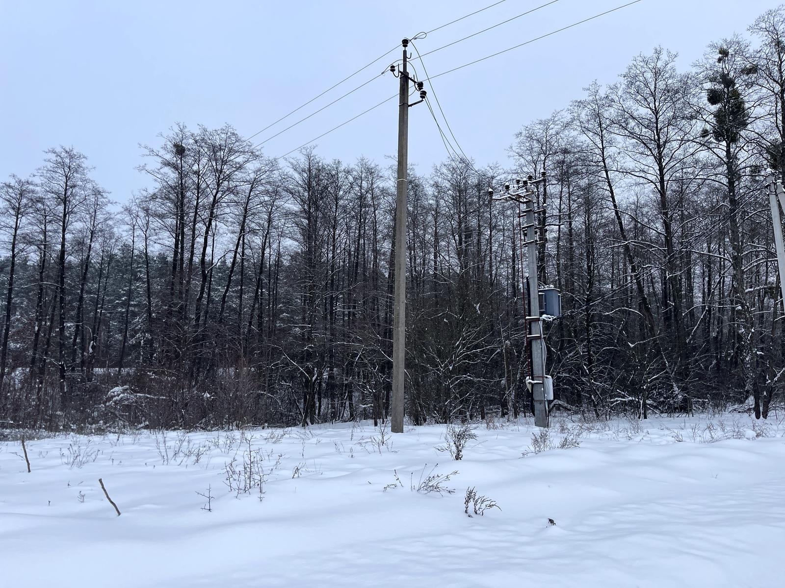 1856682568124637