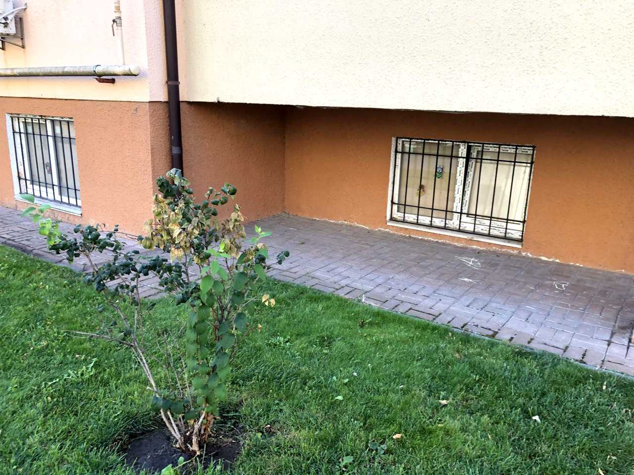 1856849713425453