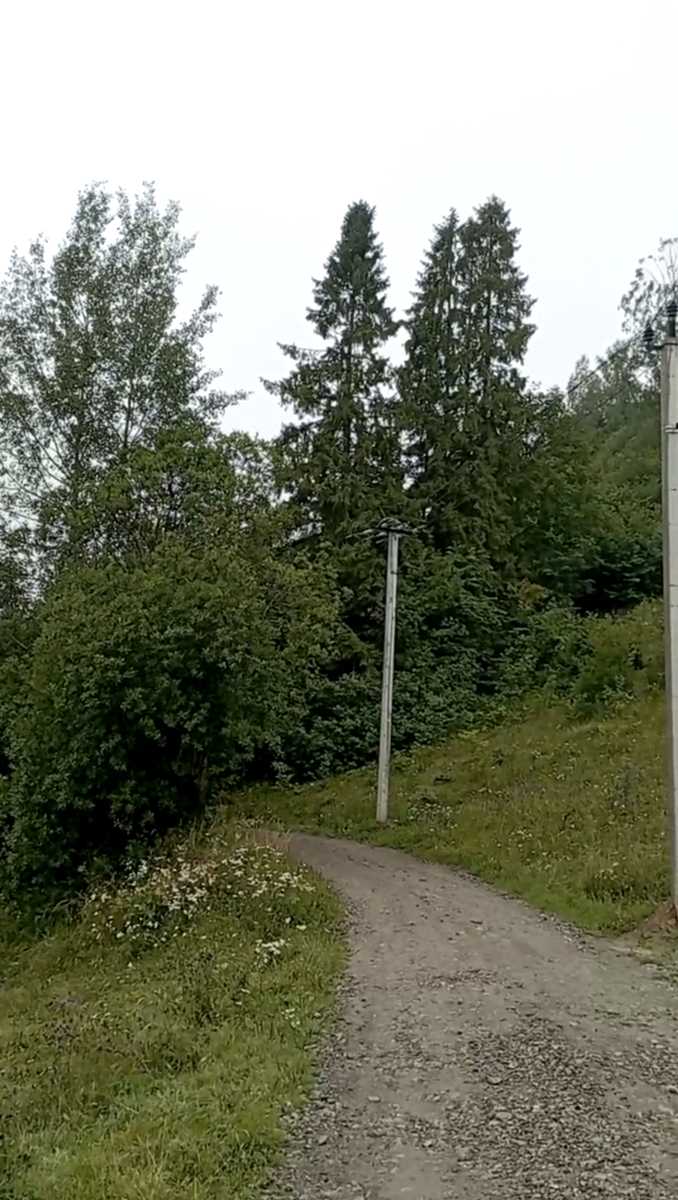 1857034325430727