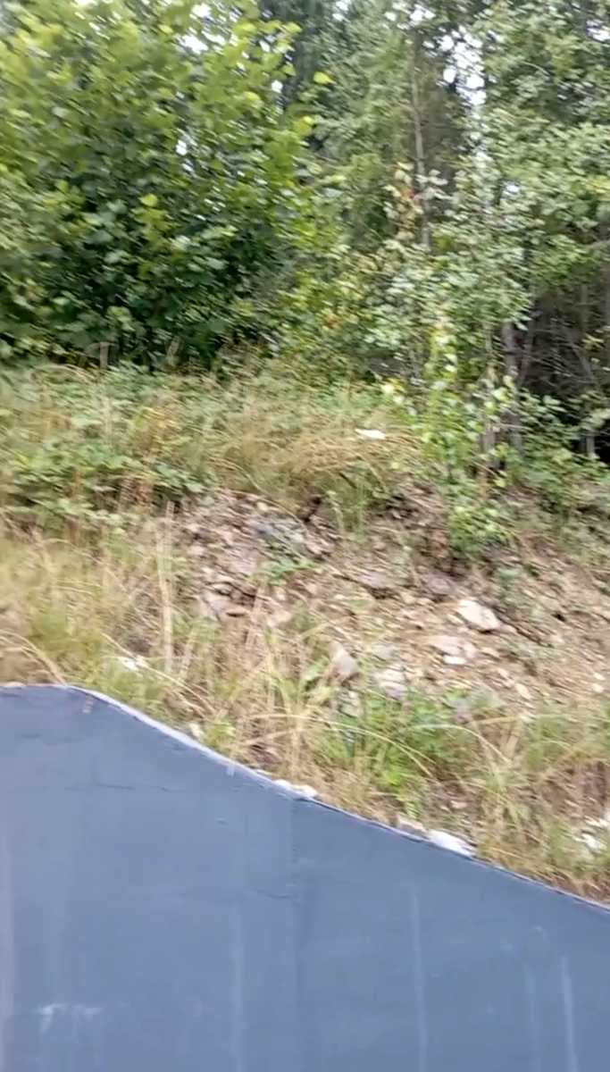 1857034327319137