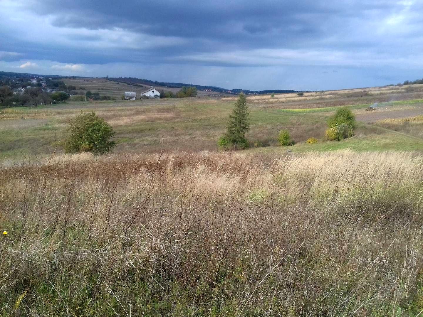 1857189606154816.jpg