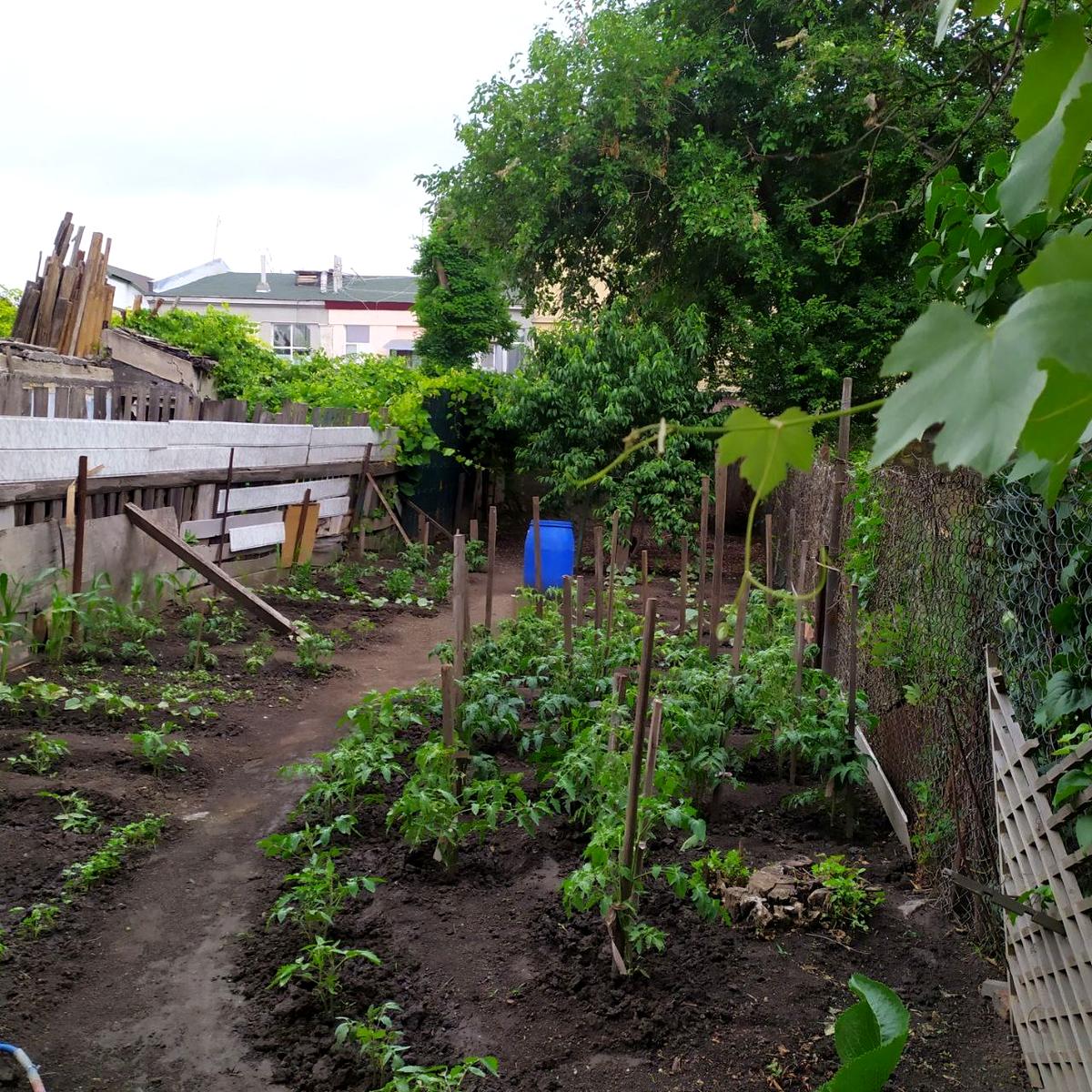 House by the address st. Raduzhnaya (area 67 m²) - Atlanta.ua - photo 8