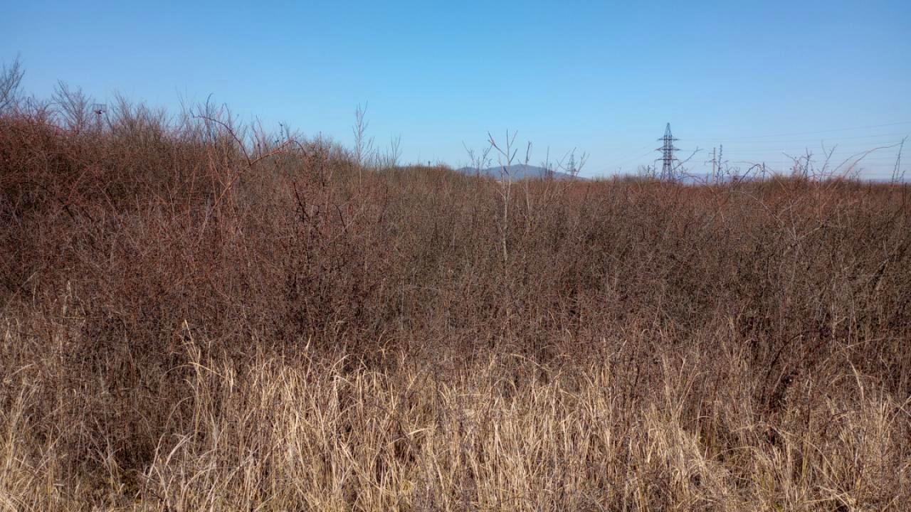1857547642078743