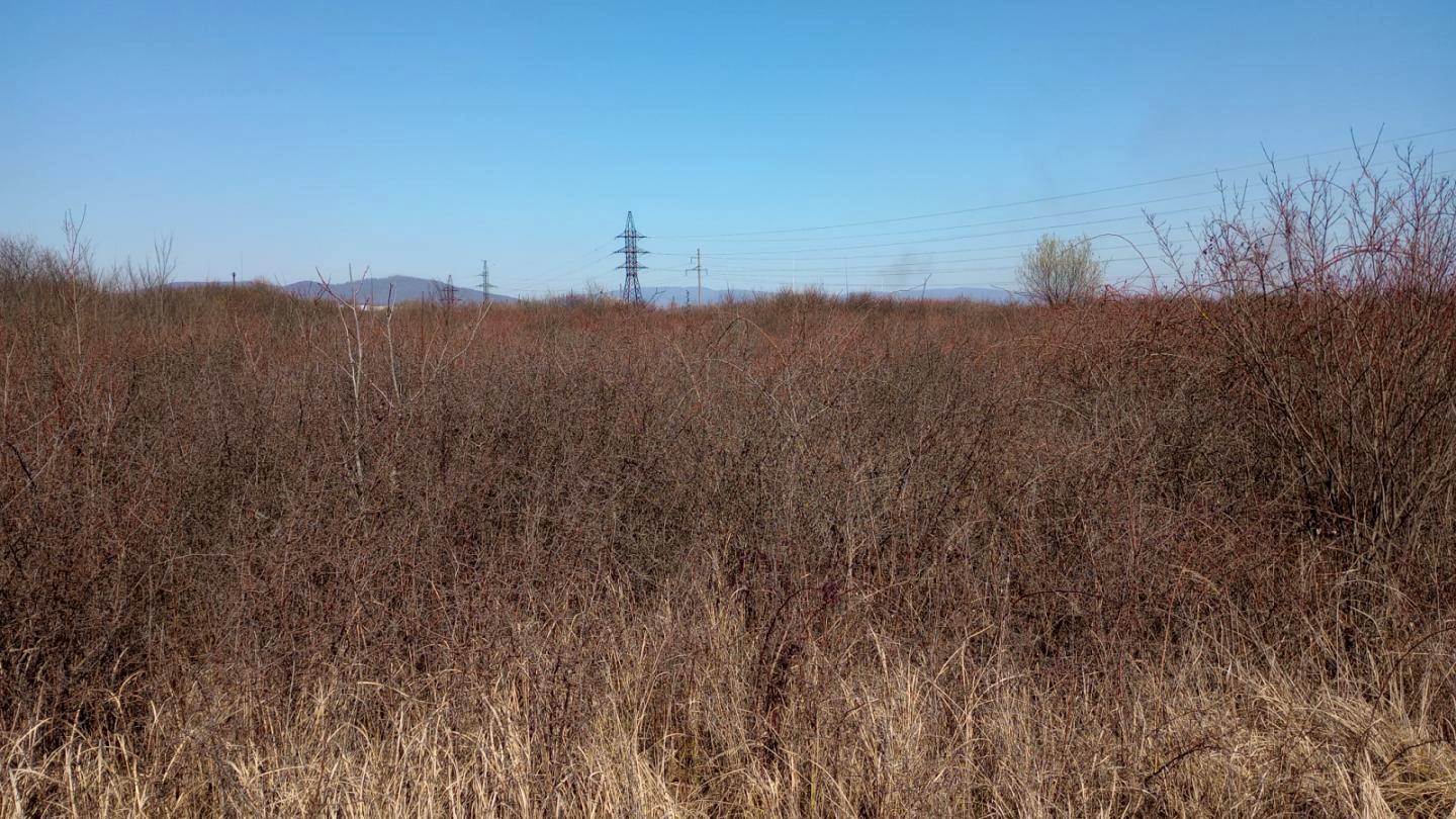 1857547642098657