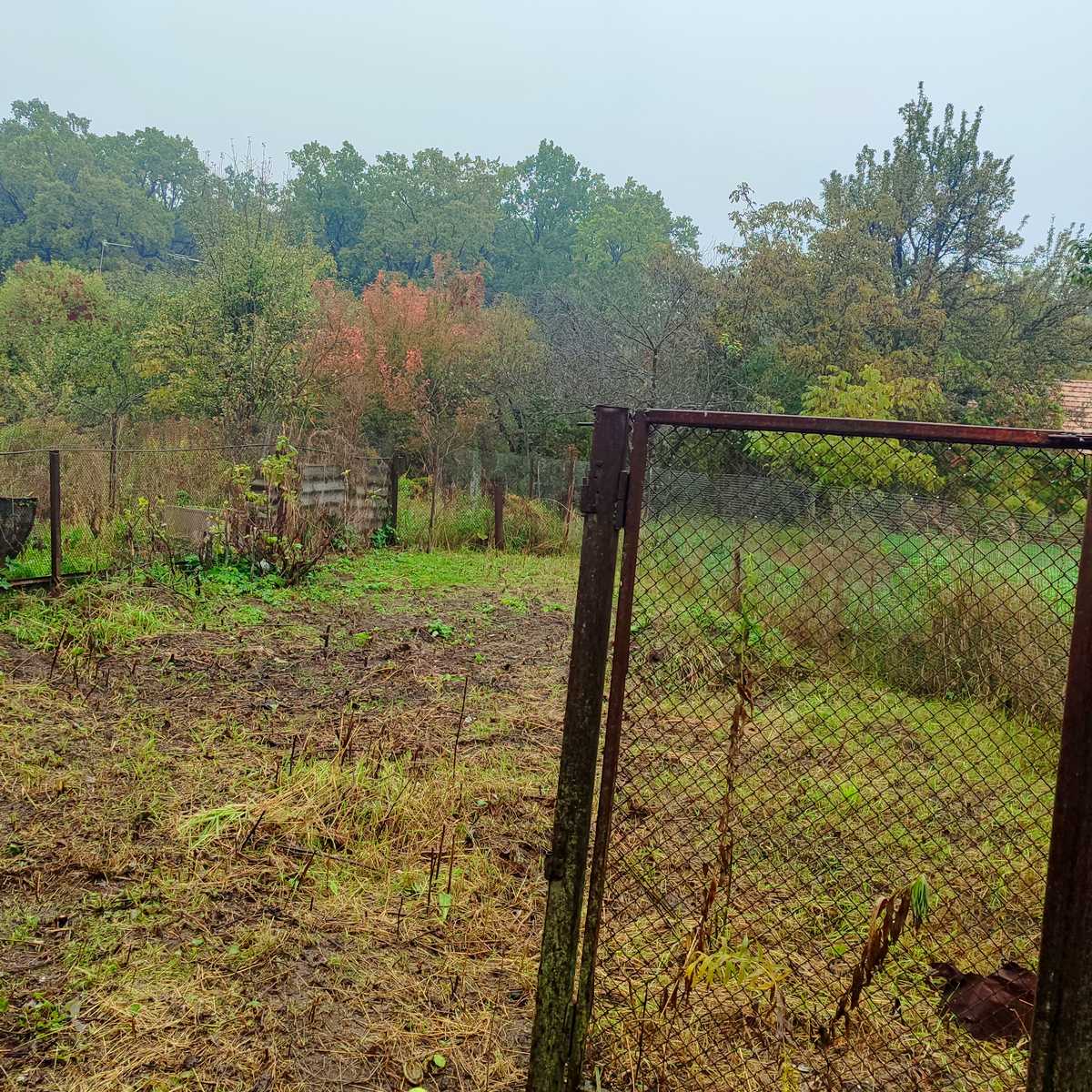 1857752479791431