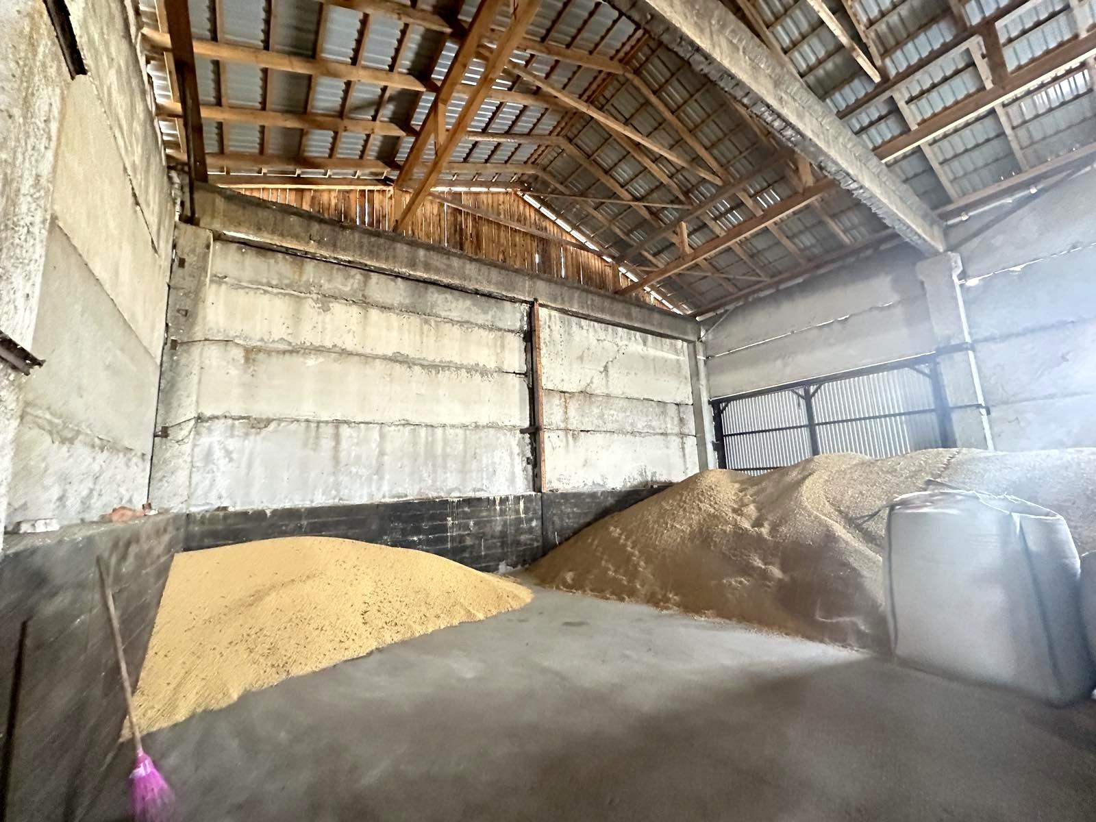 1858102425959944