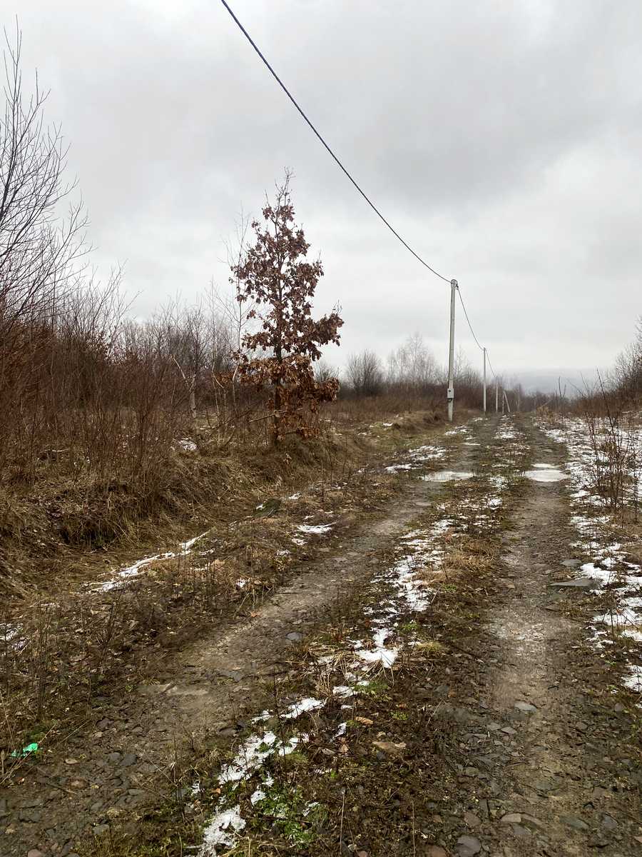 1858269139352555