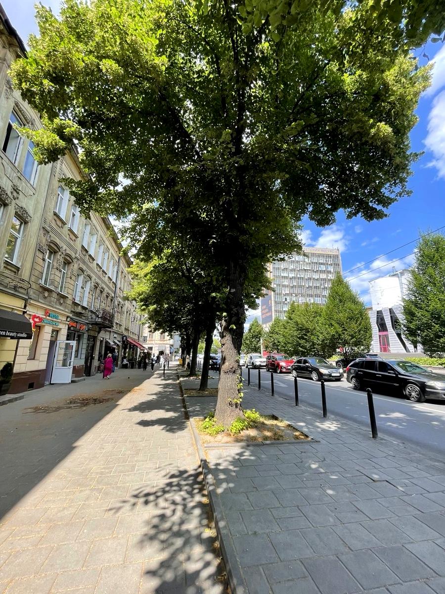 1-комнатная квартира по адресу ул. Гмыри Бориса (площадь 35 м²) - Atlanta.ua - фото 20