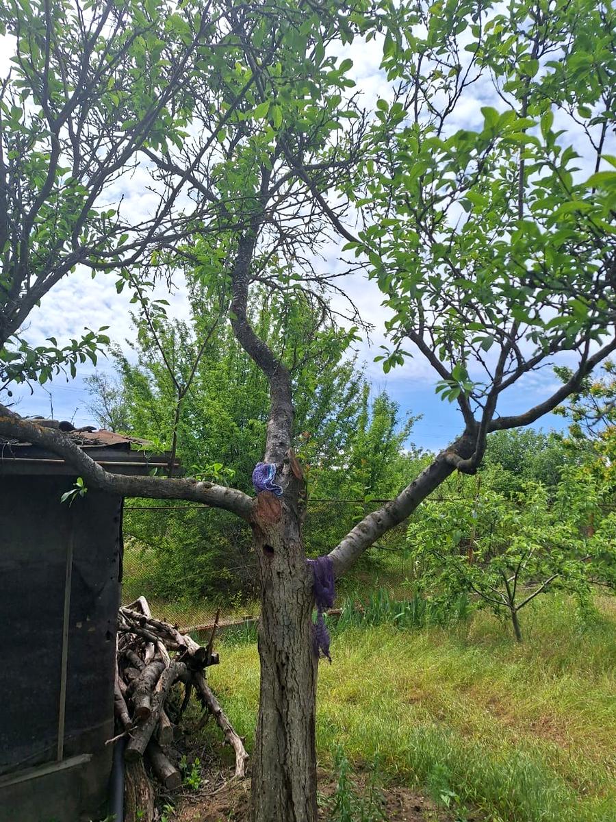 Дом по адресу ул. Рокосовского (площадь 64 м²) - Atlanta.ua - фото 8