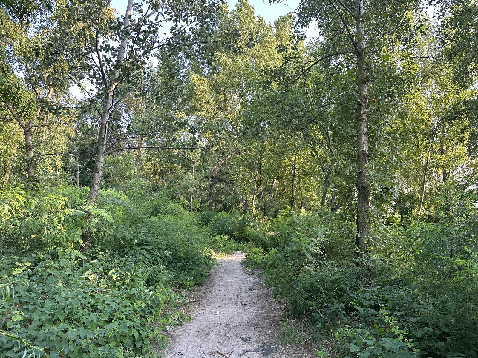 1859013744632427