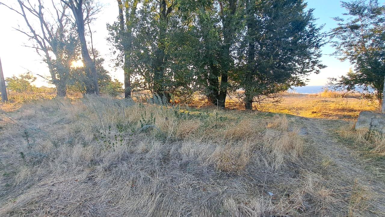1859110134428182