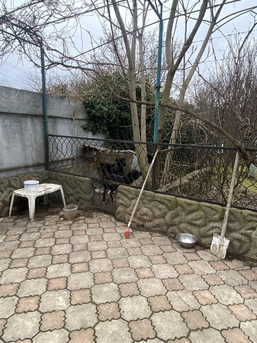 House by the address (area 200 m²) - Atlanta.ua - photo 16