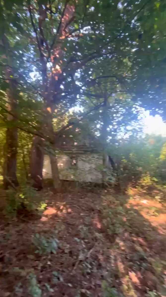 1859183519135374