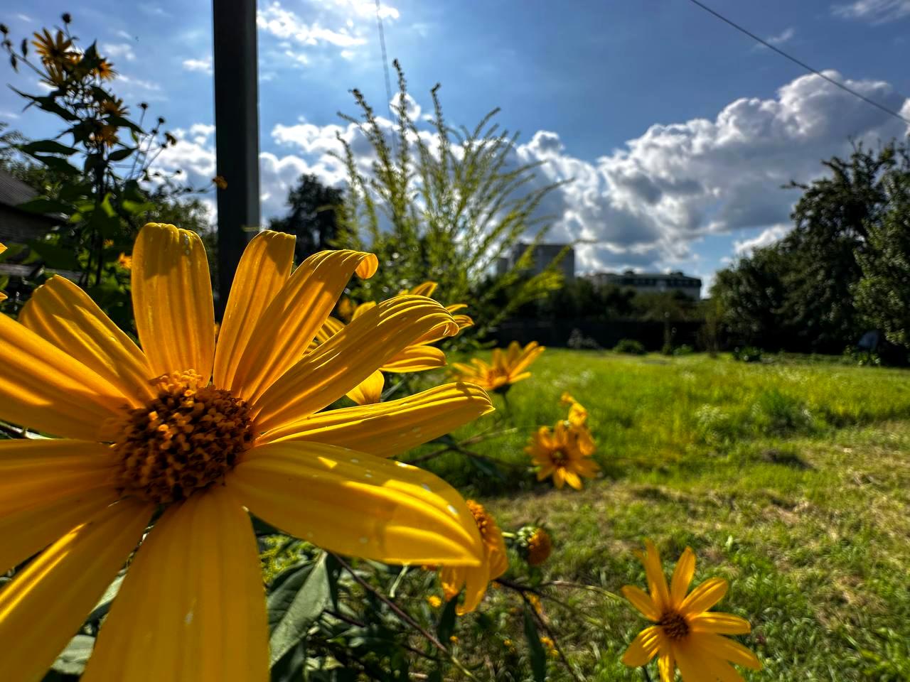 Будинок за адресою вул. Водопровідна (площа 59,9 м²) - Atlanta.ua - фото 32