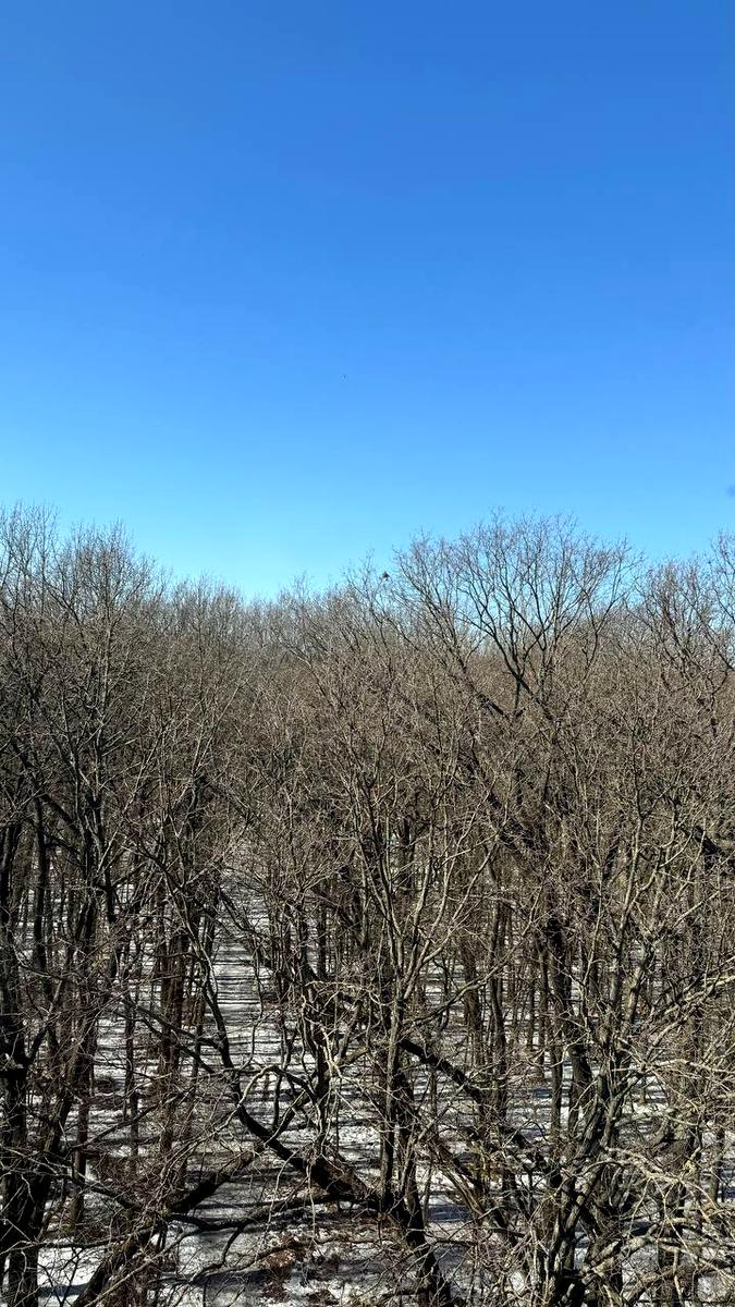 2-комнатная квартира по адресу ул. Подлесная (площадь 45 м²) - Atlanta.ua - фото 5