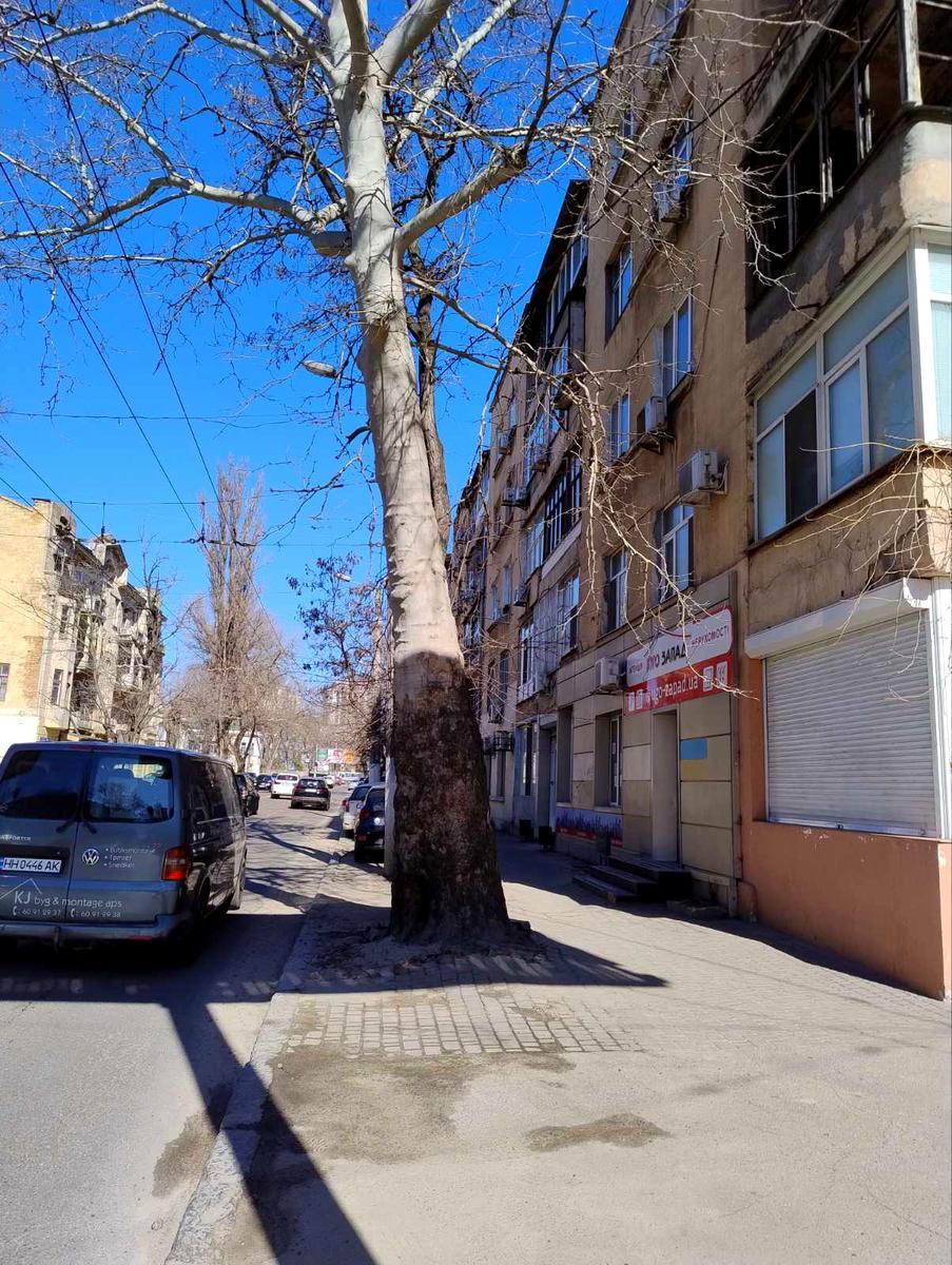 2-кімнатна квартира за адресою вул. Пирогівська (площа 42 м²) - Atlanta.ua - фото 6