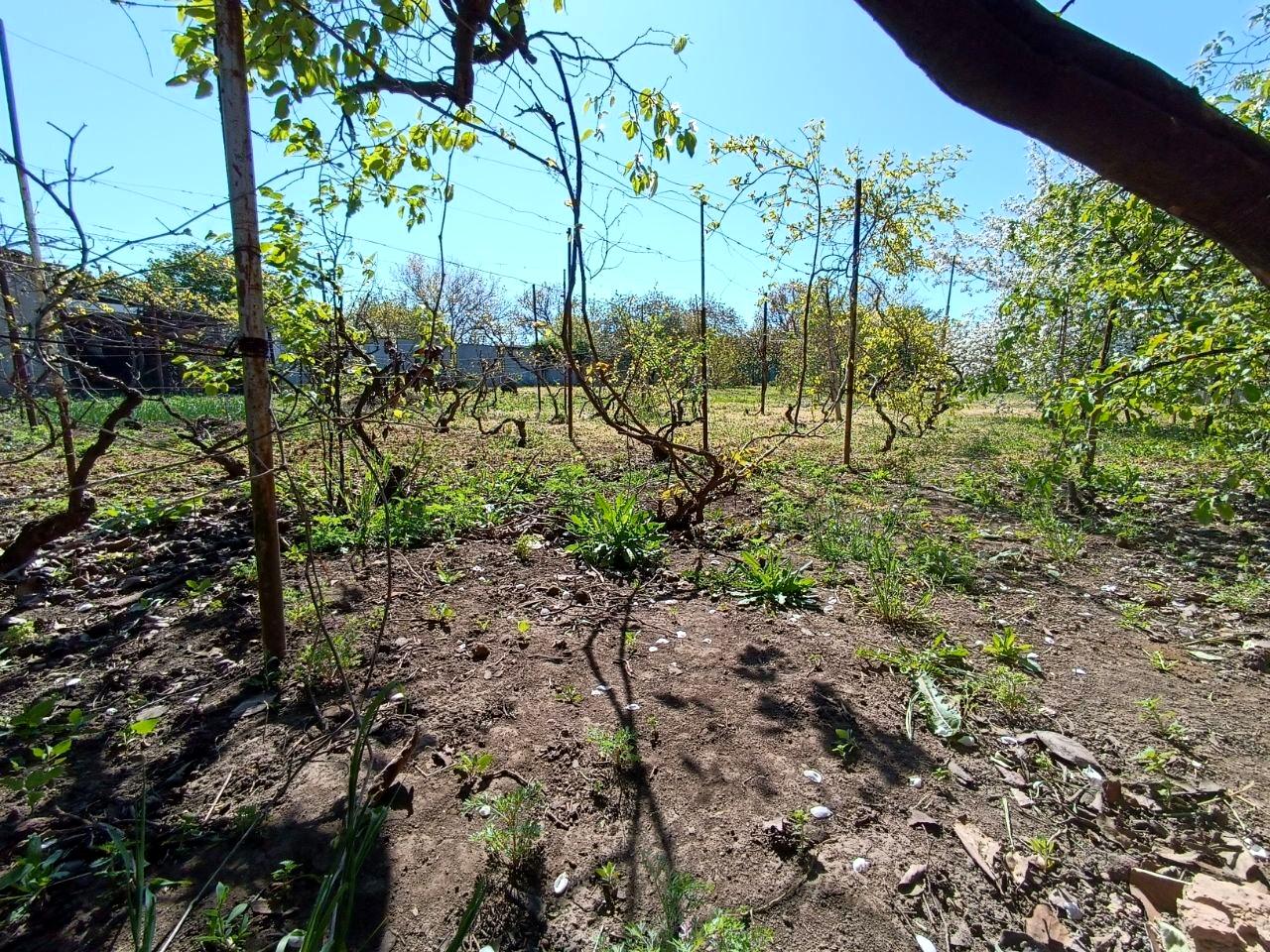 Будинок за адресою вул. Патріотична (площа 103 м²) - Atlanta.ua - фото 2