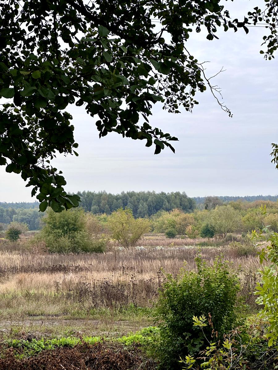 House by the address st. Lugovaya (area 103 m²) - Atlanta.ua - photo 16