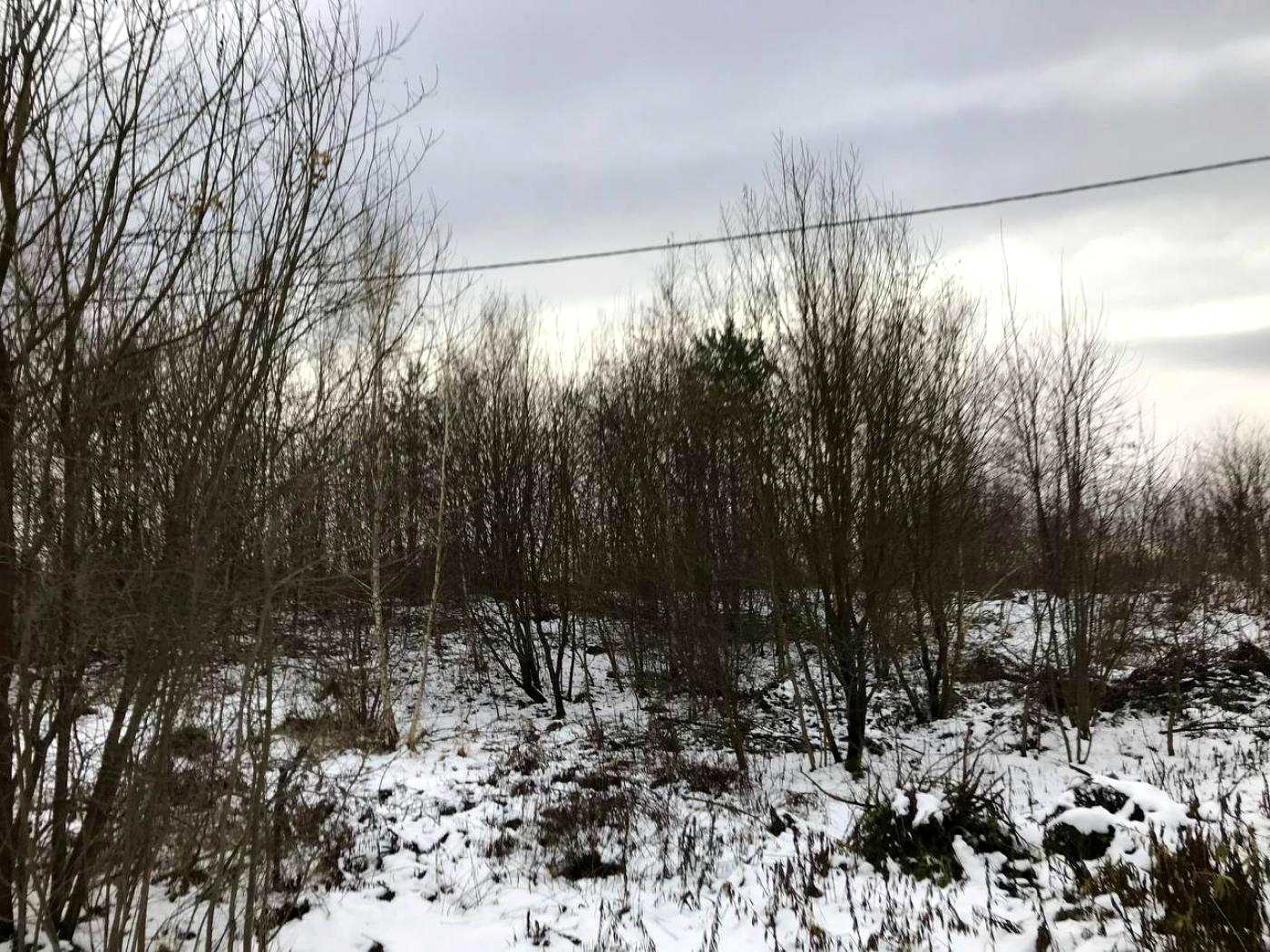 1859717784885117.jpg