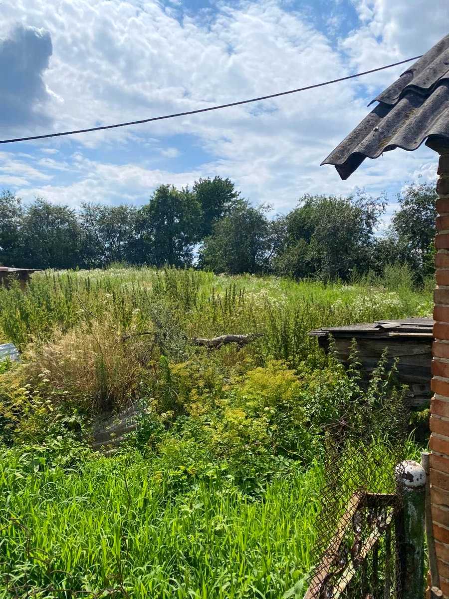 1859851829205597