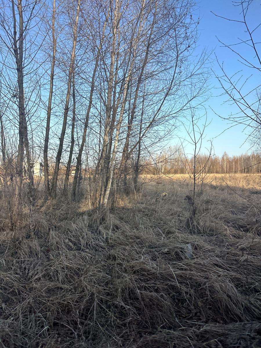 1859906143098948