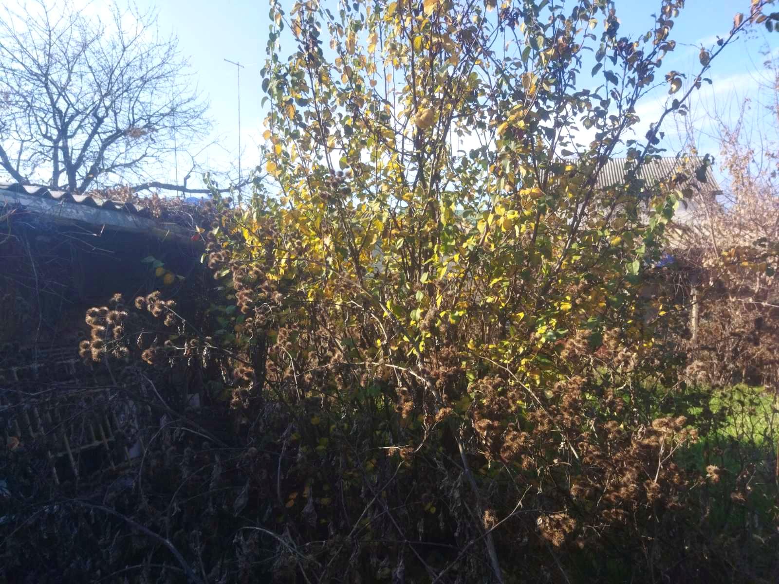 Дом по адресу ул. Житомирская (площадь 58 м²) - imageAlt 2 Дом по адресу ул. Житомирская (площадь 58 м²) - Atlanta.ua - imageAlt 2