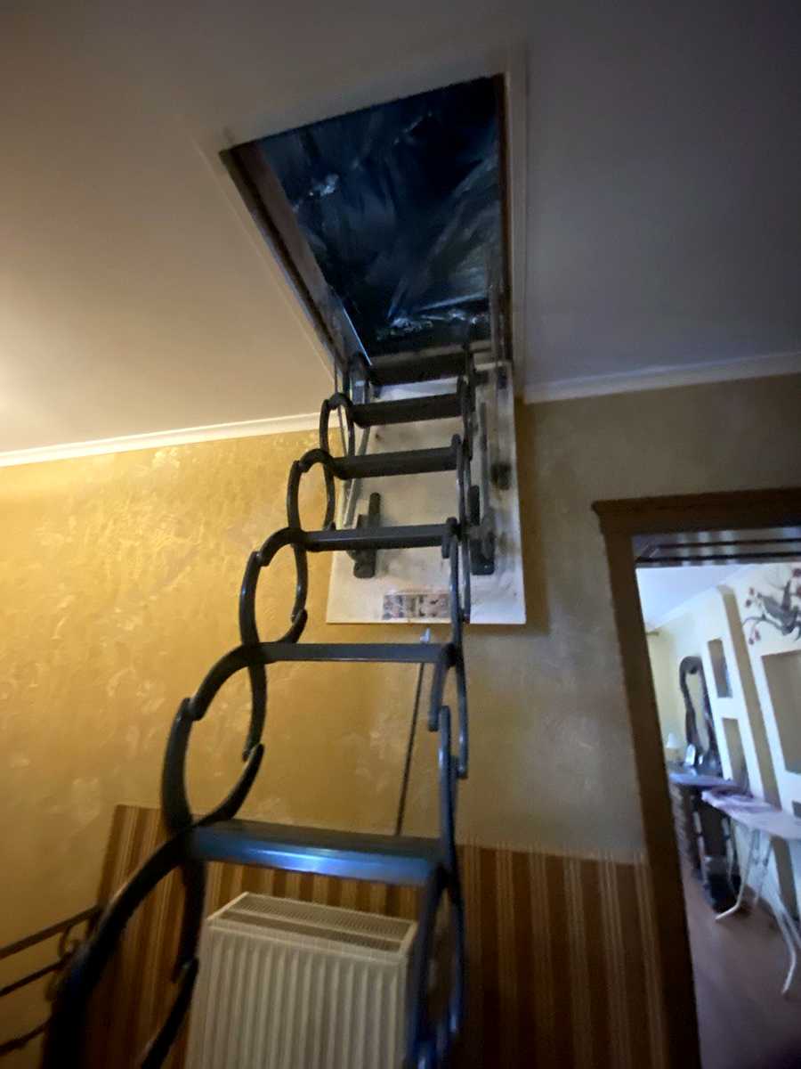 1860474113910819