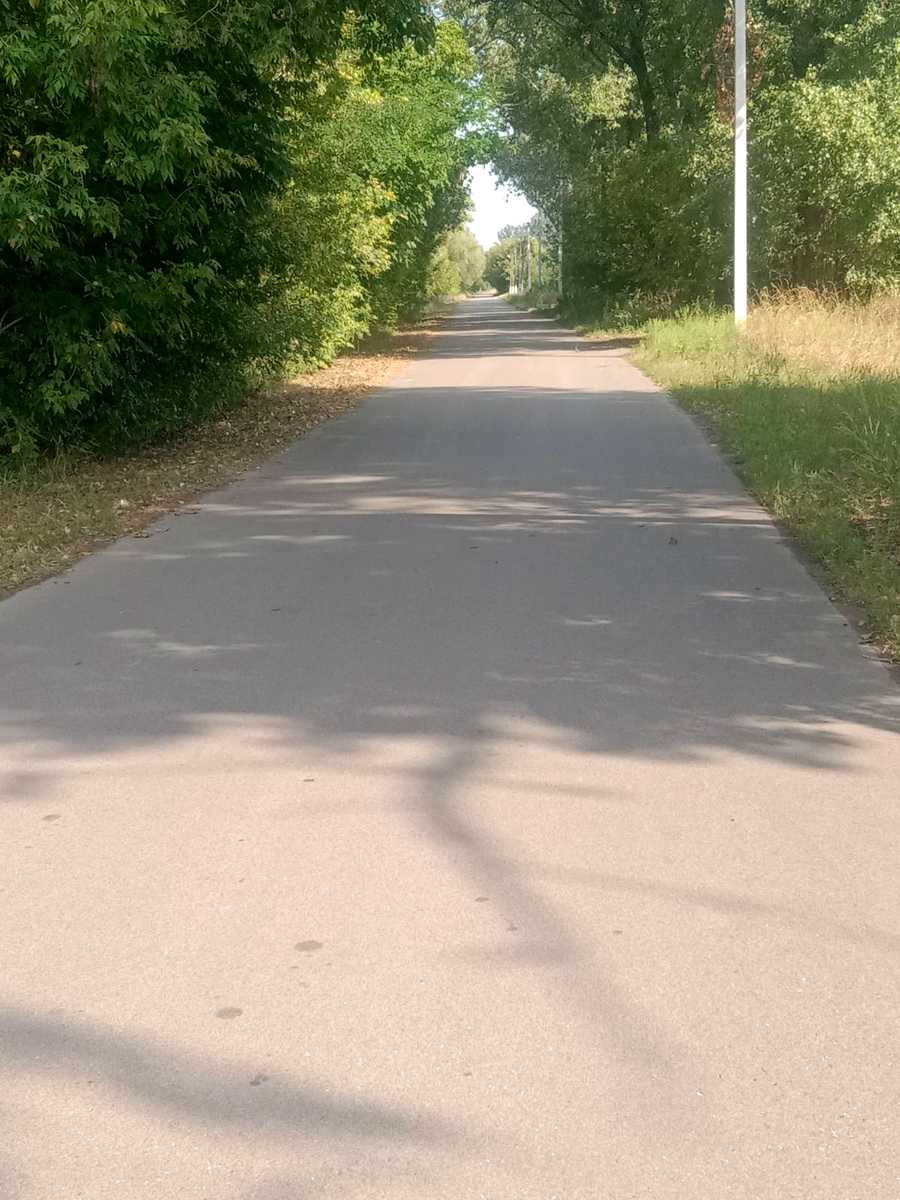 1860530148317419