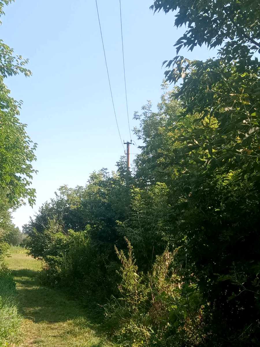 1860530148743662
