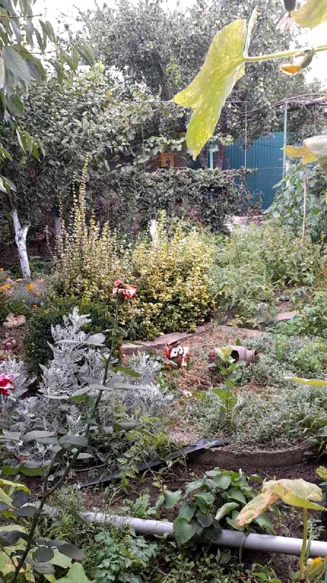 Будинок за адресою вул. Академіка Корольова (площа 58 м²) - фото 5 Будинок за адресою вул. Академіка Корольова (площа 58 м²) - Atlanta.ua - фото 5