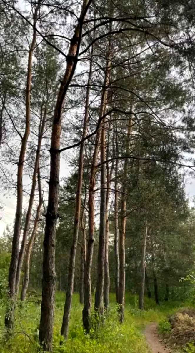 1861071938679993