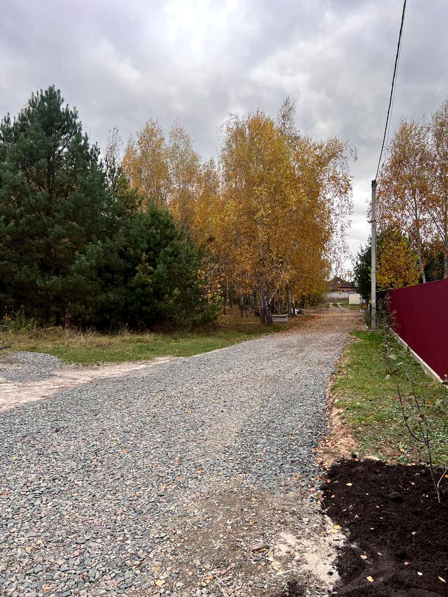 1861093245662809
