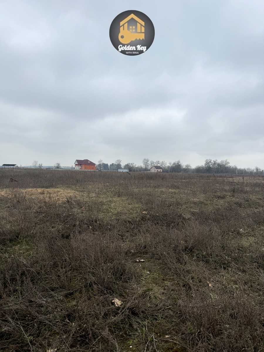 1861117116714637