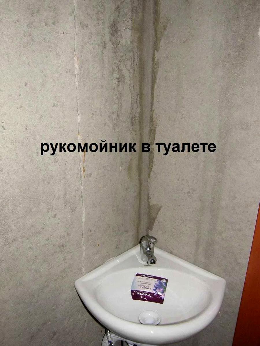 1861172531486313