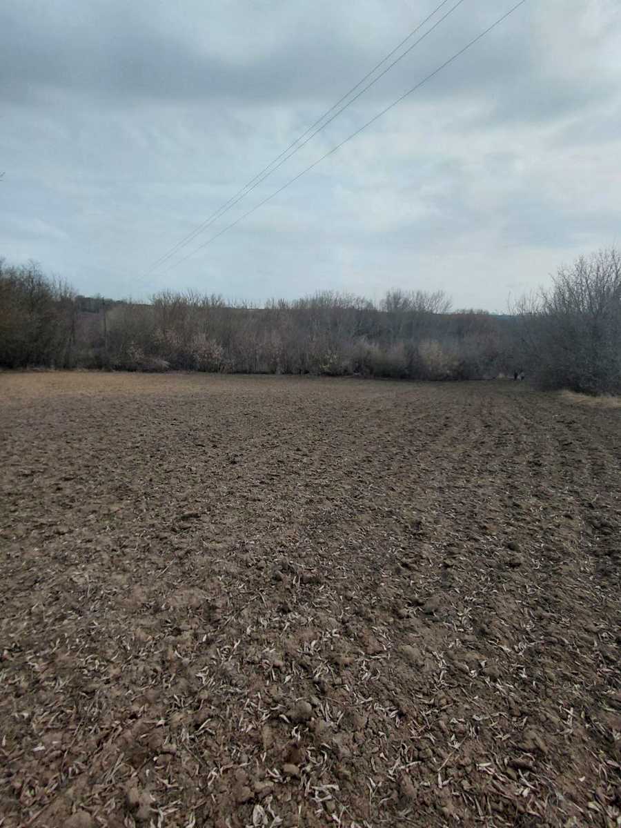 1861261487842636