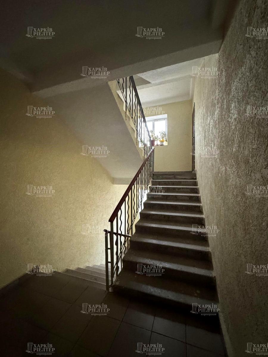 1861438512690481