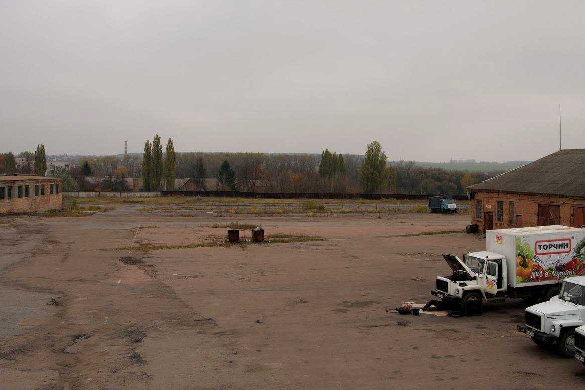 1861529671996527
