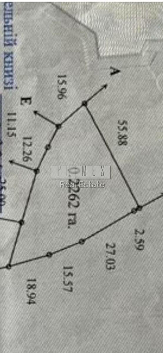 1861895841833029