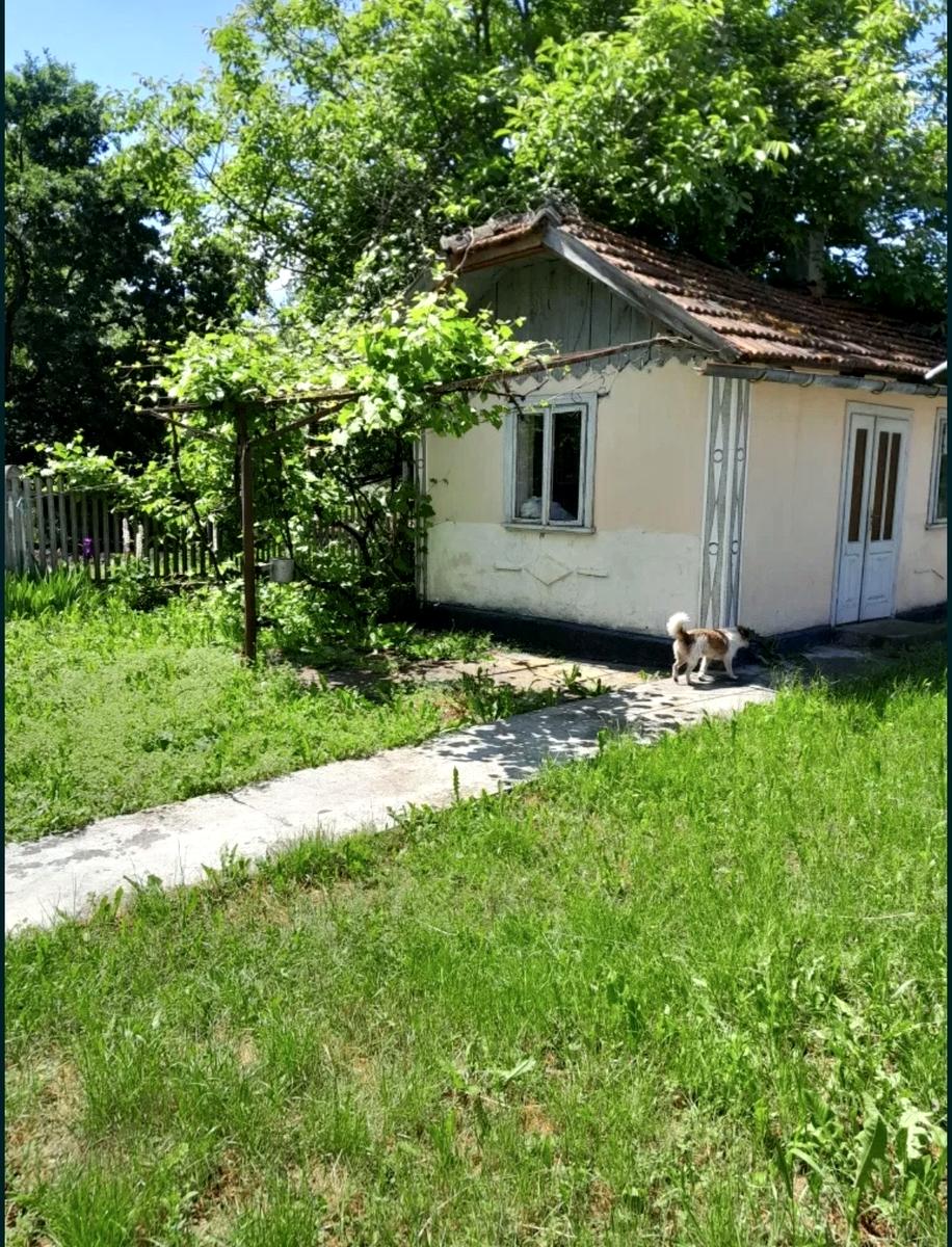 1861905343353429