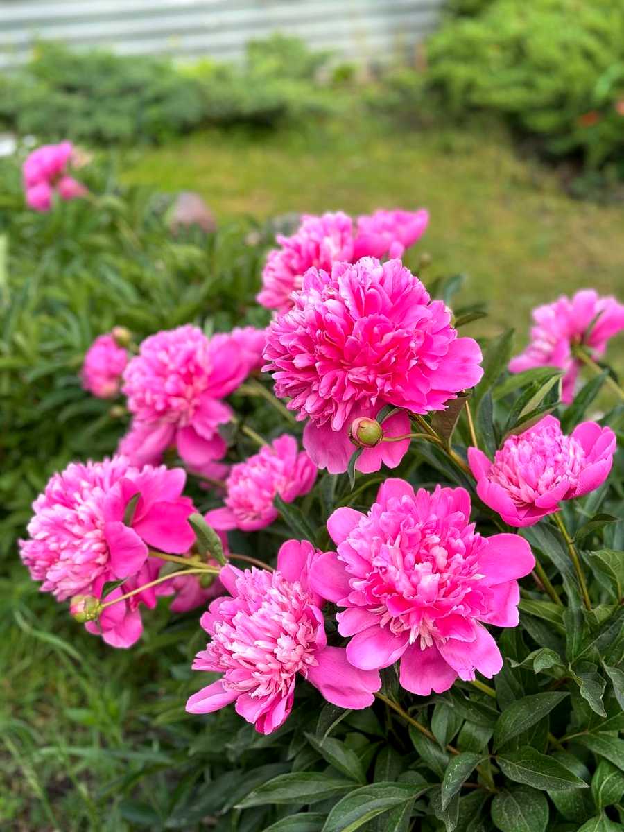 1861916637573176