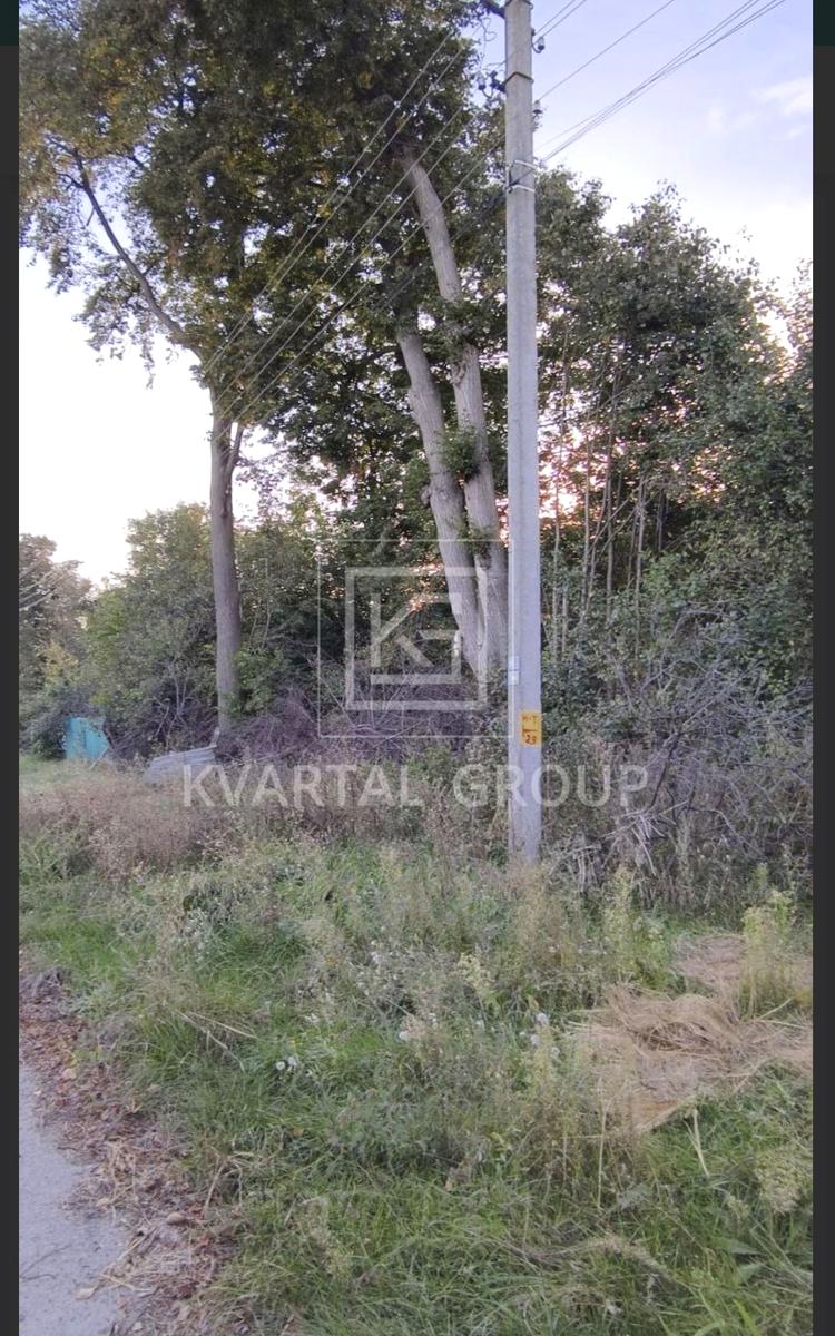 1861987294593111