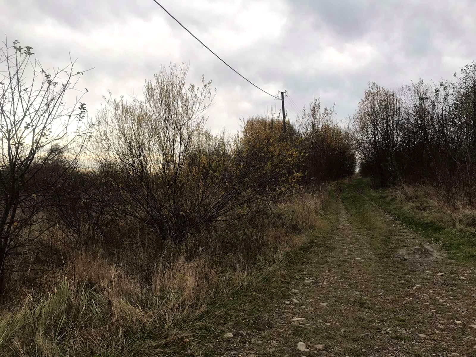 1862016061250893