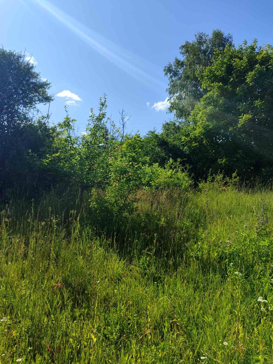 1862071733265758